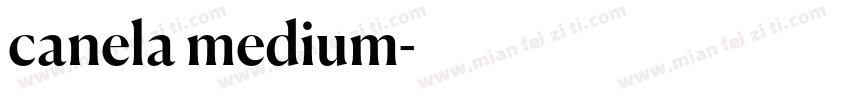 canela medium字体转换